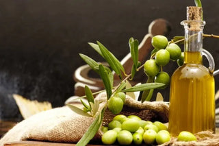 5 Natural Hair Benefits and Uses of Olive Oil