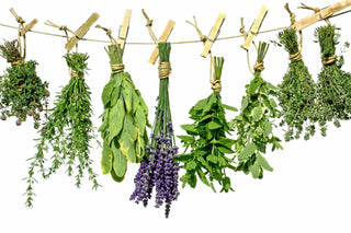 5 HERBS FOR INTERNAL SPRING CLEANING