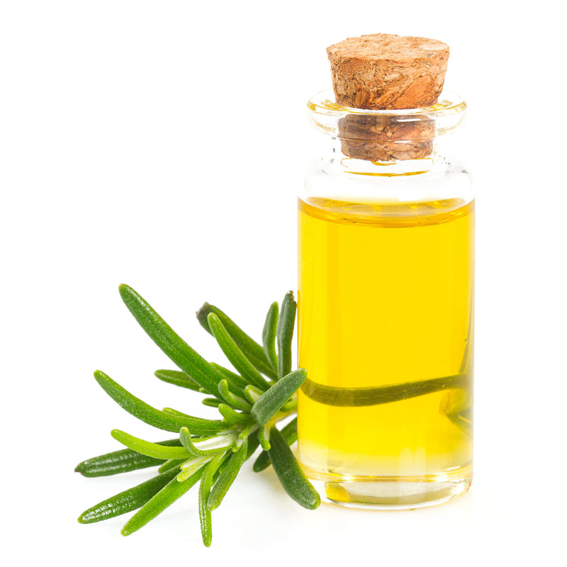Rosemary Oil