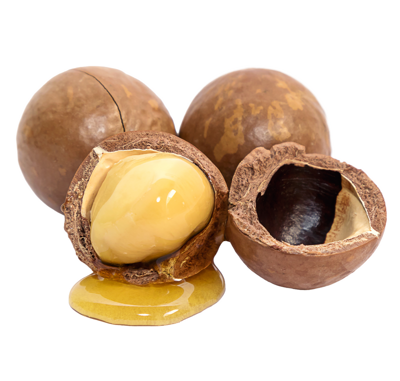 Cracked macadamia nuts with oil