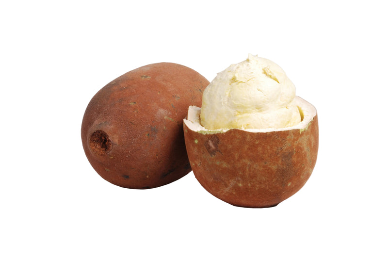 Cupuacu