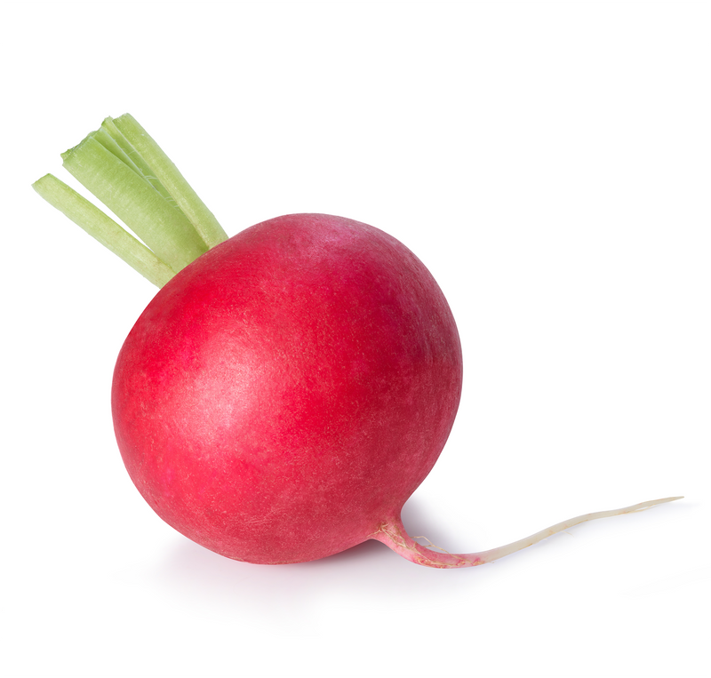 Fresh red radish