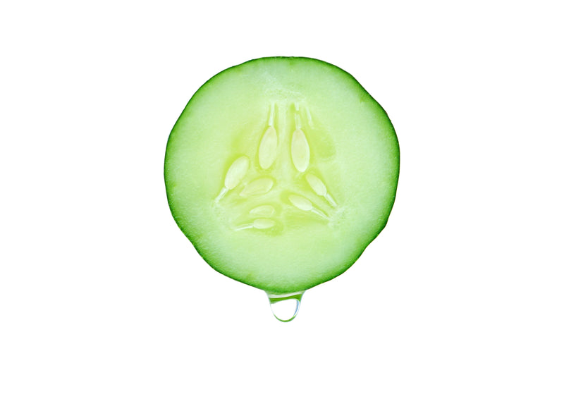 Cucumber