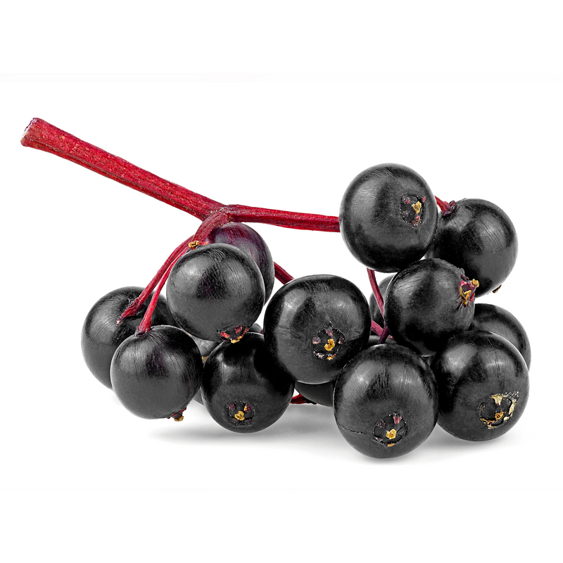 Bunch of dark elderberries