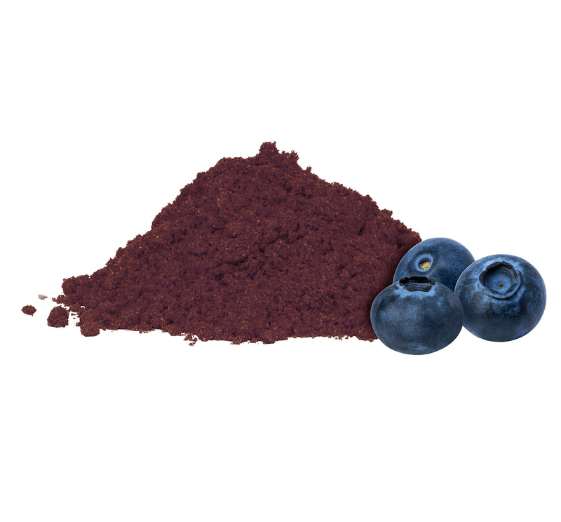 Bilberry Extract