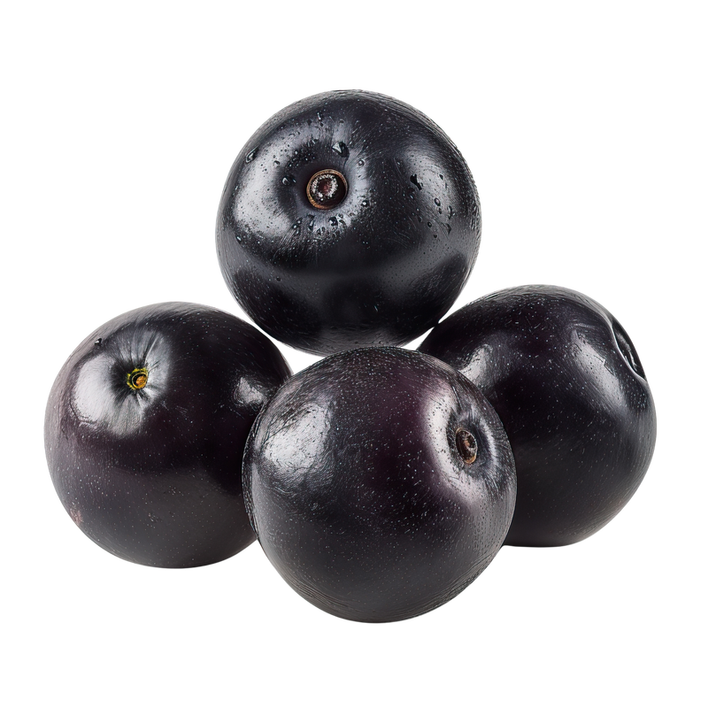 Elderberry