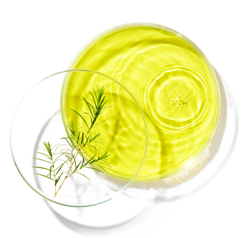 Tea Tree Oil
