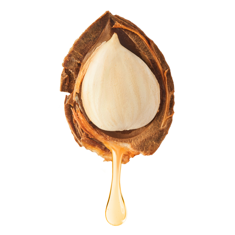Apricot Oil